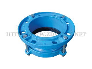 Flange adaptor