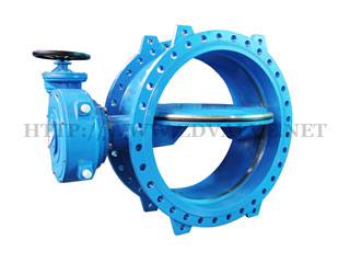 Double eccentric double flange butterfly valve