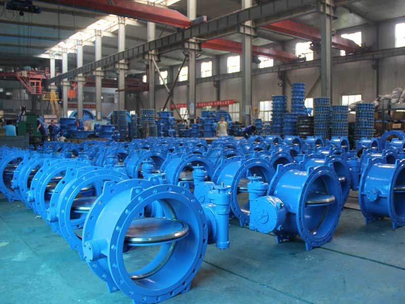 Double eccentric double flange butterfly valve