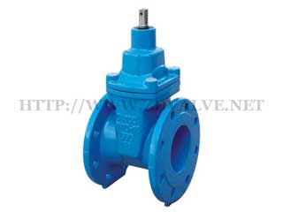 Rubber seated gate valve